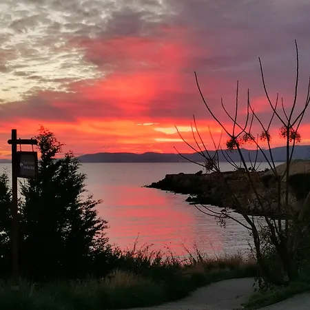 Alexandra's Sea Front