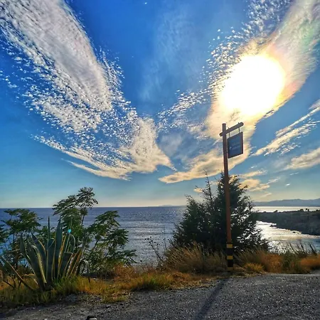 Alexandra's Sea Front *